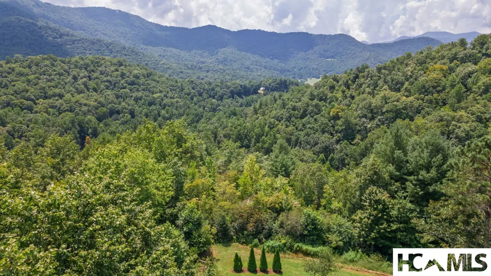 176 Battle Branch Ridge Road Franklin, NC 28734