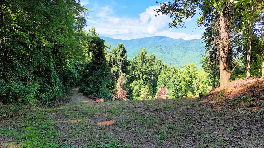 Sundown Dr Franklin, NC 28734