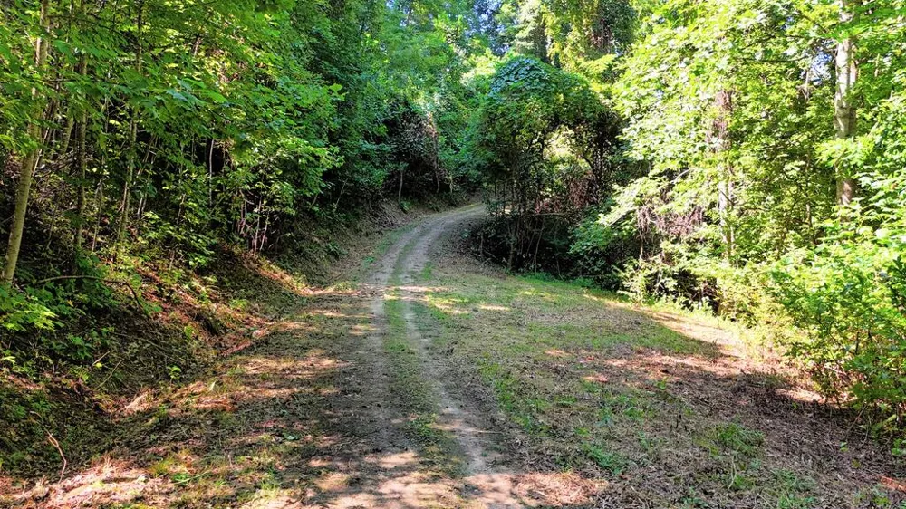 Sundown Dr Franklin, NC 28734