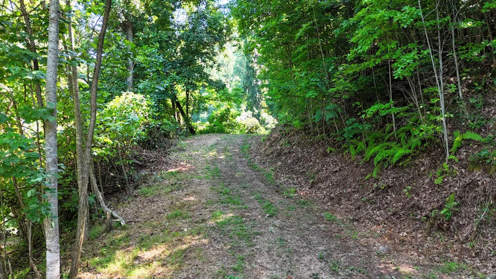 Sundown Dr Franklin, NC 28734