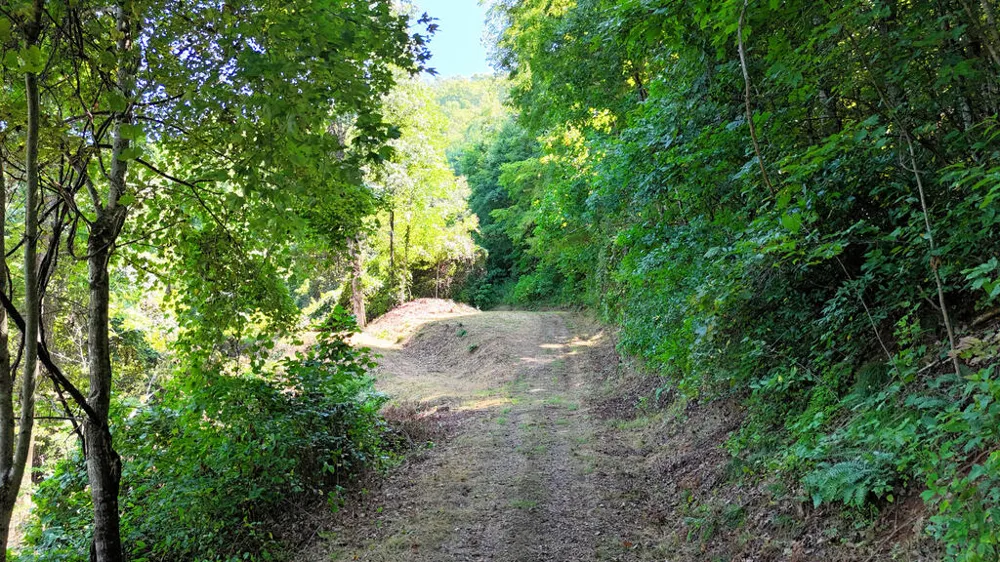 Sundown Dr Franklin, NC 28734