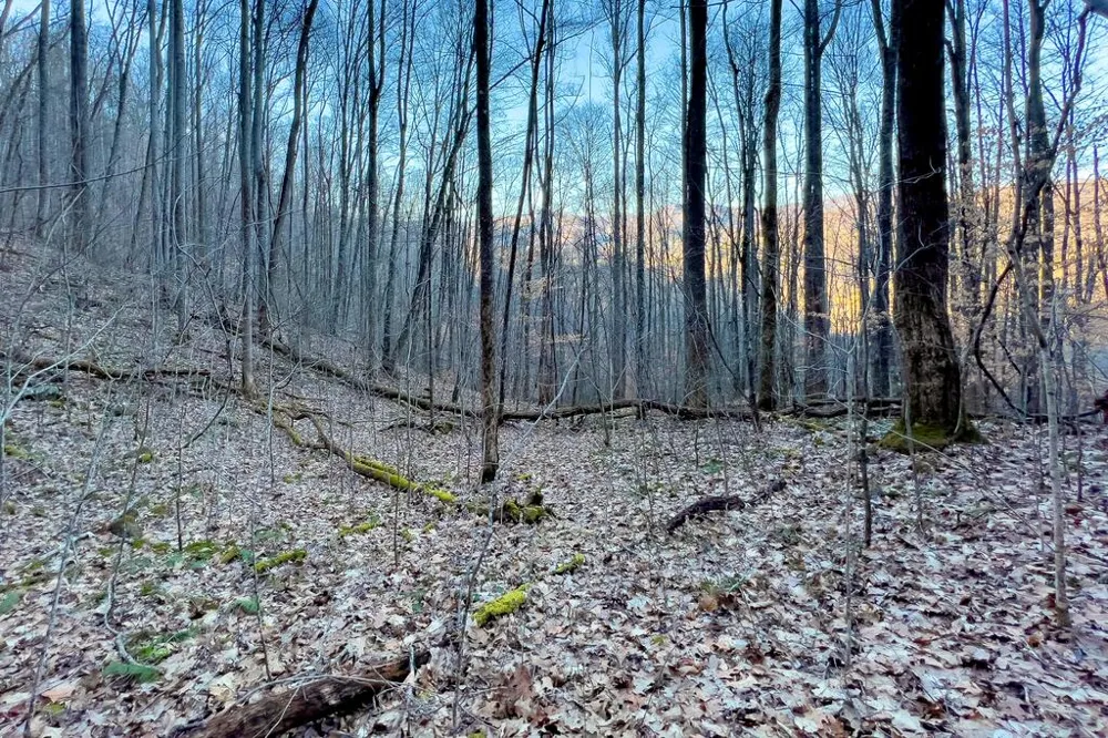 Sundown Dr Franklin, NC 28734