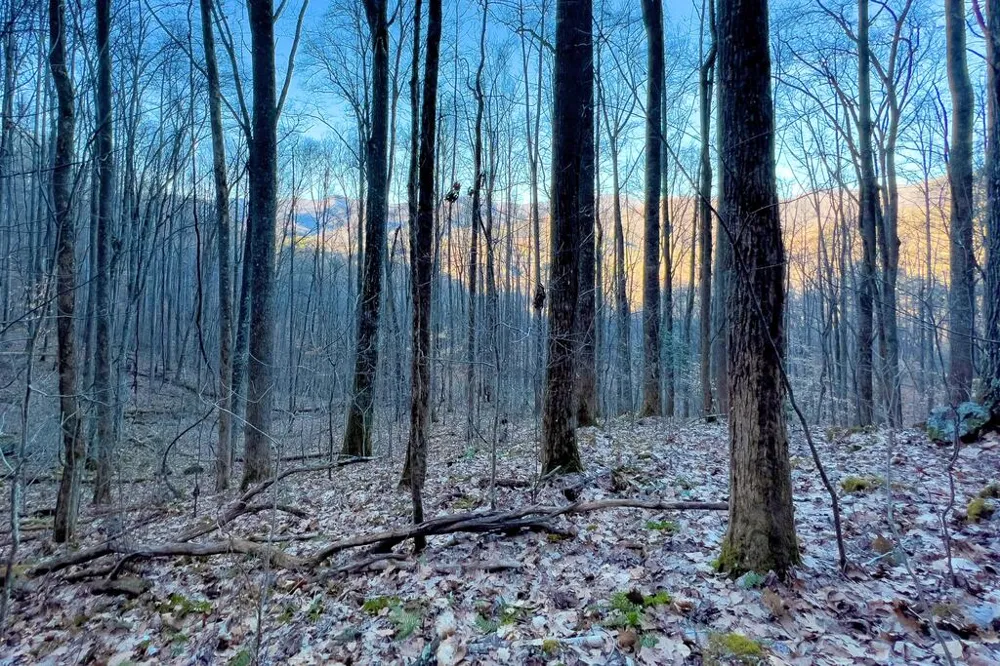 Sundown Dr Franklin, NC 28734
