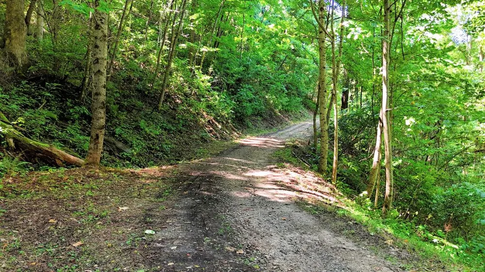 Sundown Dr Franklin, NC 28734