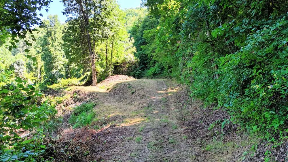 Sundown Dr Franklin, NC 28734