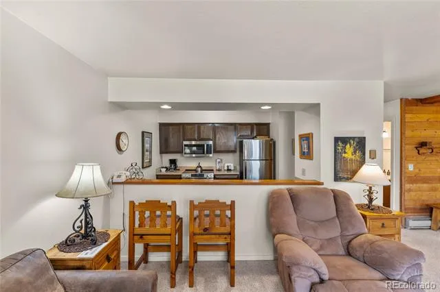166 Argentine Court #1433 Dillon, CO 80435