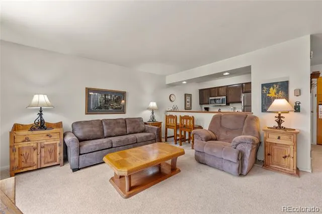 166 Argentine Court #1433 Dillon, CO 80435