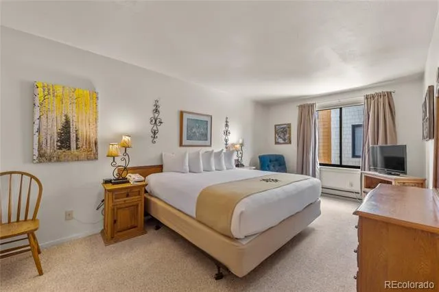 166 Argentine Court #1433 Dillon, CO 80435