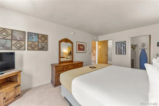 166 Argentine Court #1433 Dillon, CO 80435