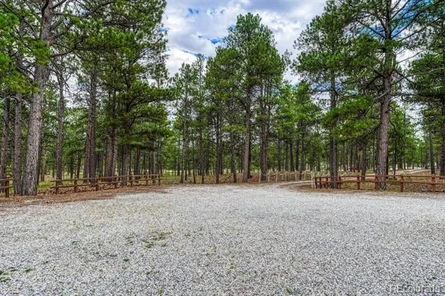 9950 Pine Park Trail Colorado Springs, CO 80908