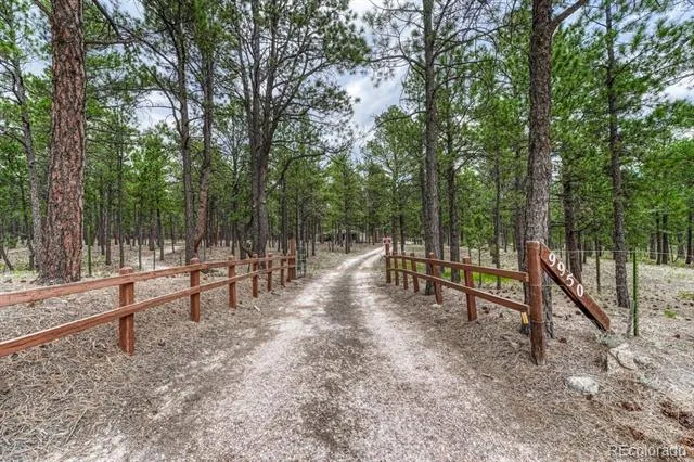9950 Pine Park Trail Colorado Springs, CO 80908