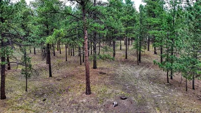 9950 Pine Park Trail Colorado Springs, CO 80908