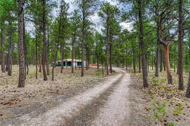 9950 Pine Park Trail Colorado Springs, CO 80908