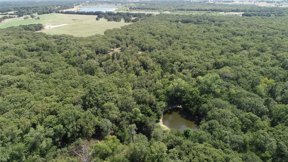 10442 County Road 2434 Terrell, TX 75160