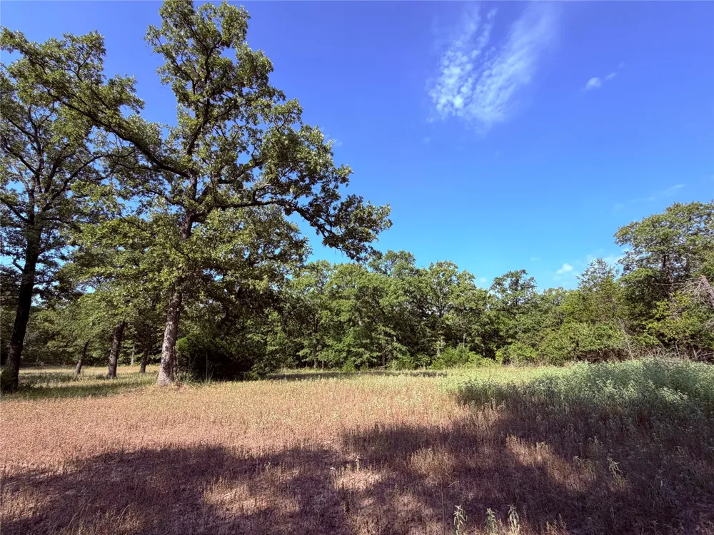 10442 County Road 2434 Terrell, TX 75160