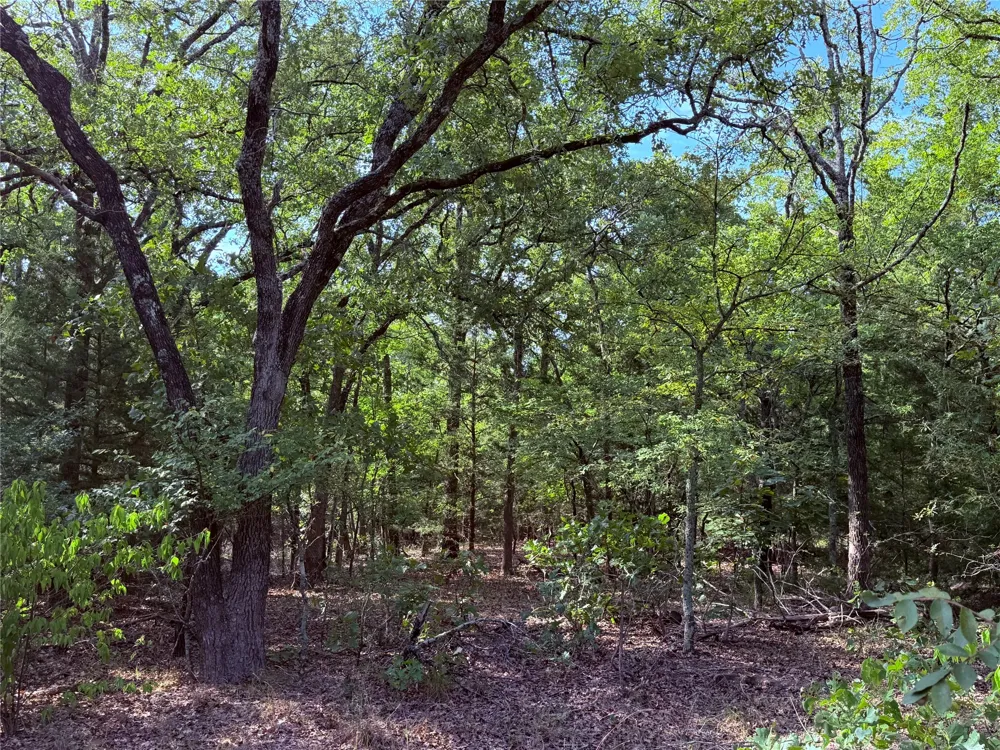10442 County Road 2434 Terrell, TX 75160