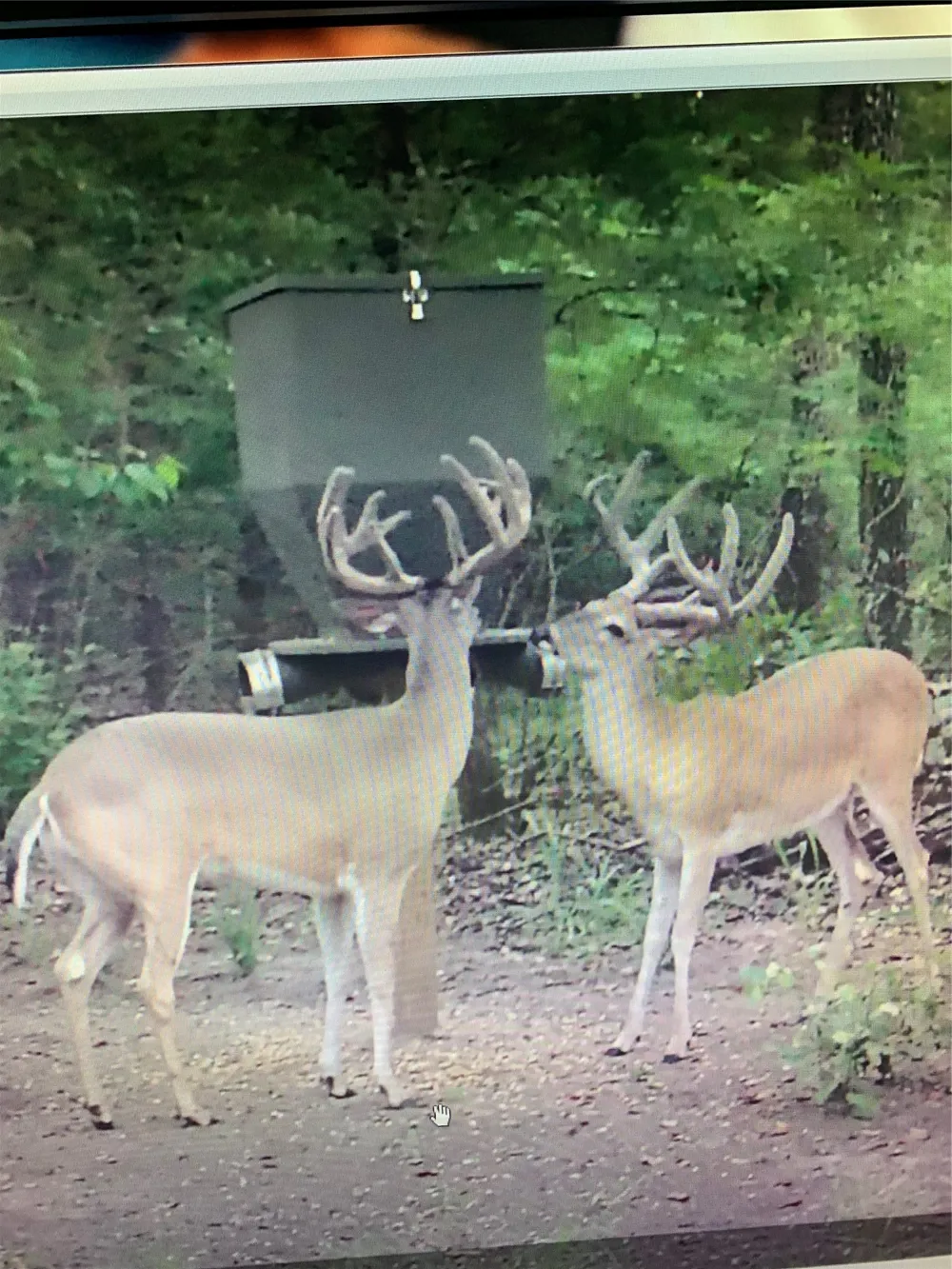 10442 County Road 2434 Terrell, TX 75160