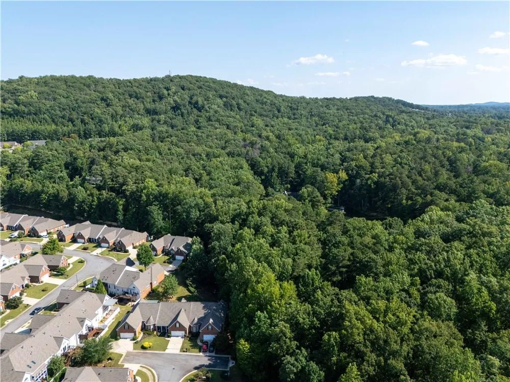 428 Brookes Walk Woodstock, GA 30188