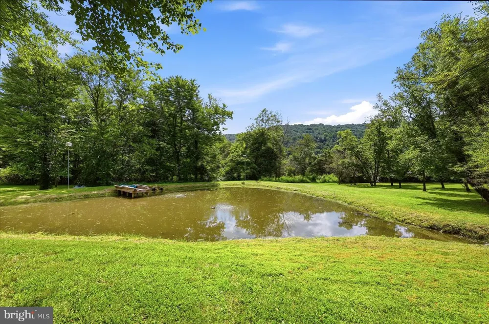13328 JOHN MARSHALL HIGHWAY Linden, VA 22642