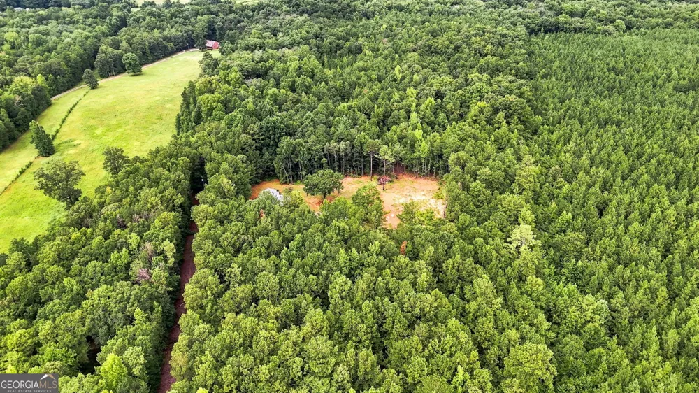 1050 Morgan Dairy RD Milner, GA 30257