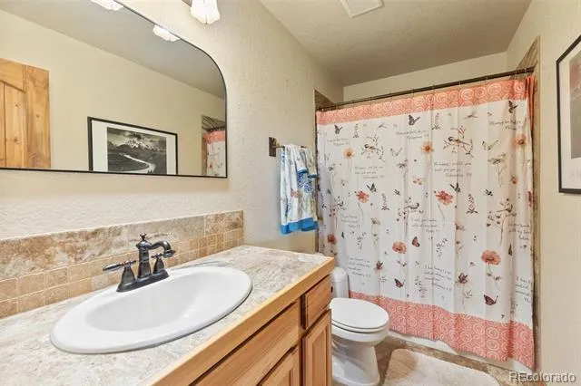 889 Venture Road Fairplay, CO 80440