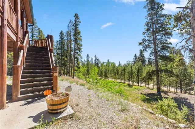 889 Venture Road Fairplay, CO 80440