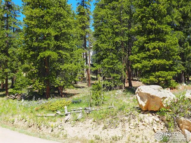 0 Caesar Road Black Hawk, CO 80422