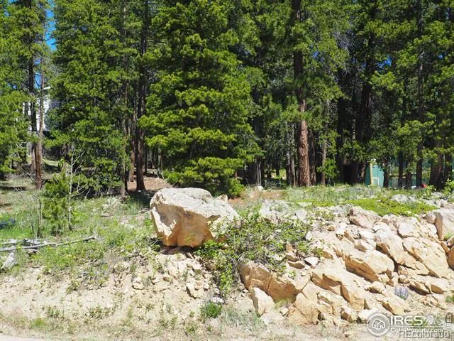 0 Caesar Road Black Hawk, CO 80422