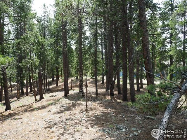 0 Caesar Road Black Hawk, CO 80422