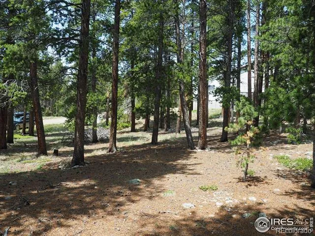 0 Caesar Road Black Hawk, CO 80422