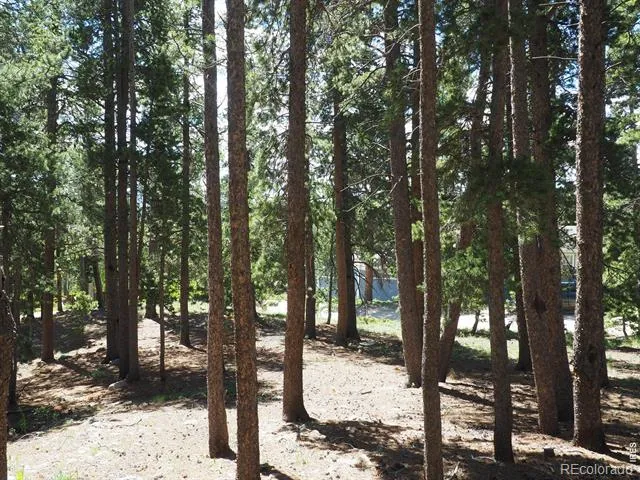 0 Caesar Road Black Hawk, CO 80422