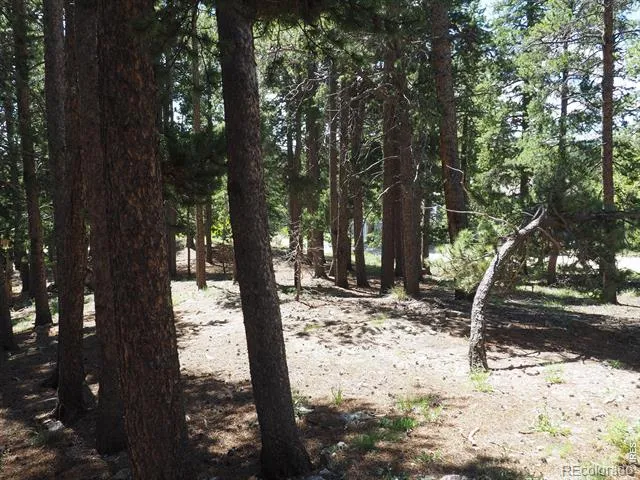 0 Caesar Road Black Hawk, CO 80422