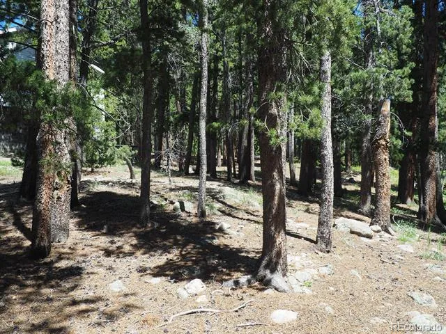 0 Caesar Road Black Hawk, CO 80422