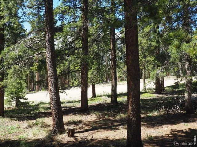 0 Caesar Road Black Hawk, CO 80422
