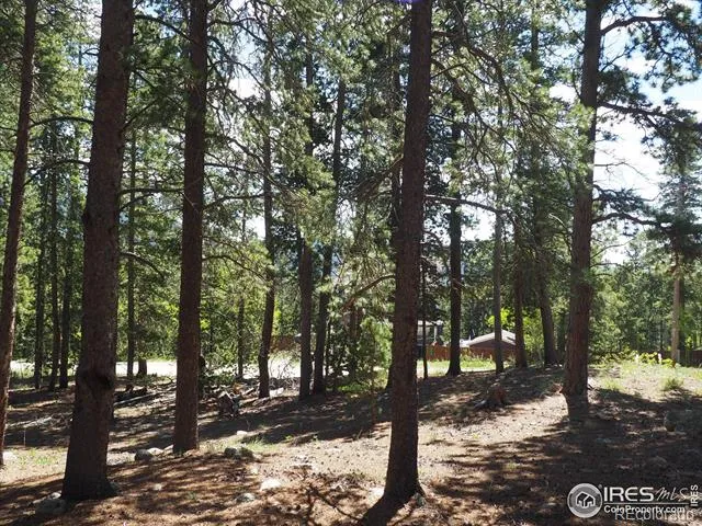 0 Caesar Road Black Hawk, CO 80422