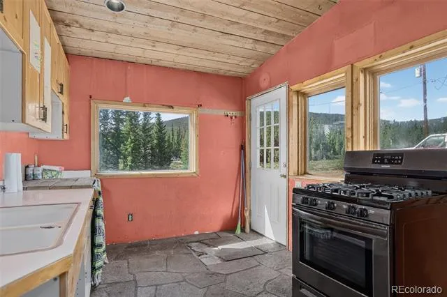 2546 Cr-12 Alma, CO 80440