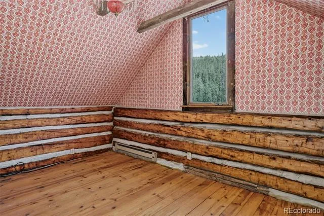 2546 Cr-12 Alma, CO 80440