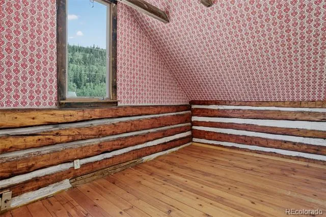2546 Cr-12 Alma, CO 80440