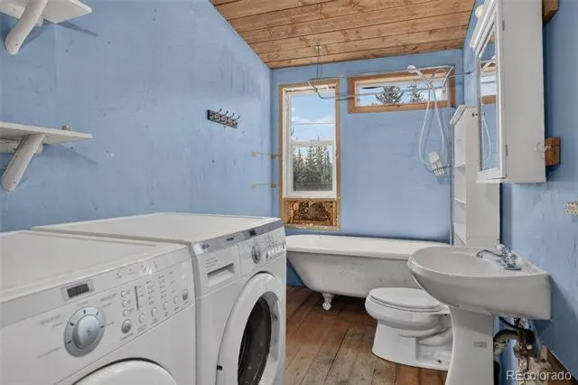2546 Cr-12 Alma, CO 80440