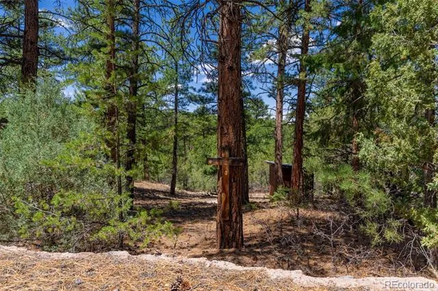 265 Alden Lane Cotopaxi, CO 81223