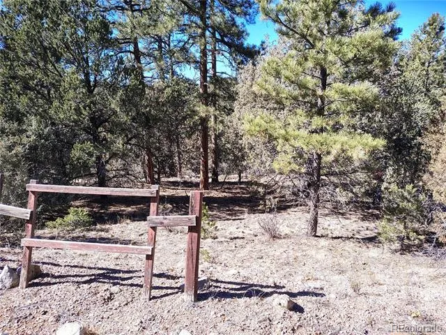 265 Alden Lane Cotopaxi, CO 81223