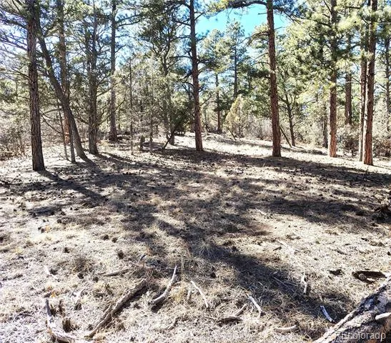 265 Alden Lane Cotopaxi, CO 81223