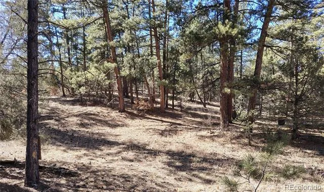 265 Alden Lane Cotopaxi, CO 81223