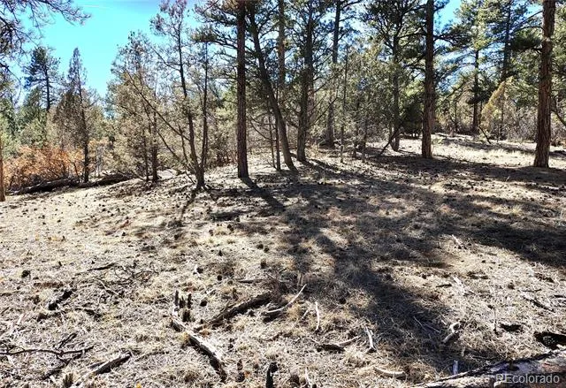 265 Alden Lane Cotopaxi, CO 81223