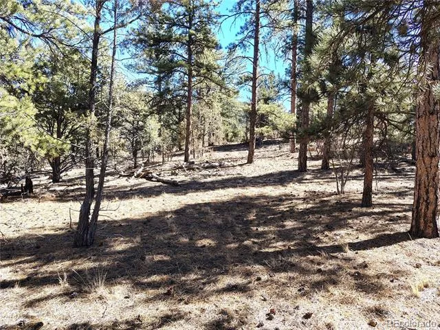 265 Alden Lane Cotopaxi, CO 81223