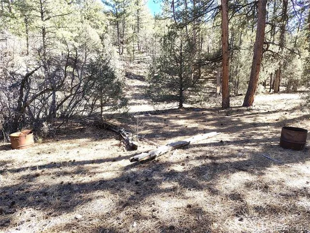 265 Alden Lane Cotopaxi, CO 81223