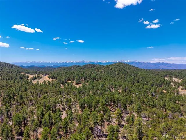 265 Alden Lane Cotopaxi, CO 81223