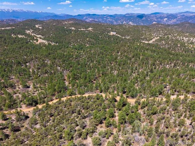 265 Alden Lane Cotopaxi, CO 81223