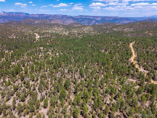 265 Alden Lane Cotopaxi, CO 81223
