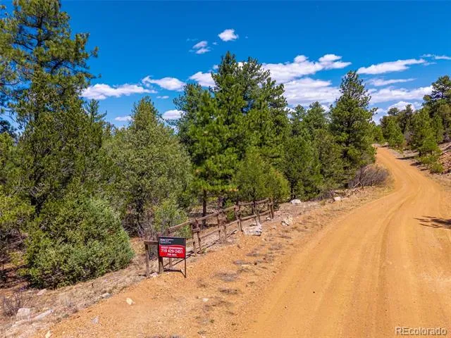 265 Alden Lane Cotopaxi, CO 81223